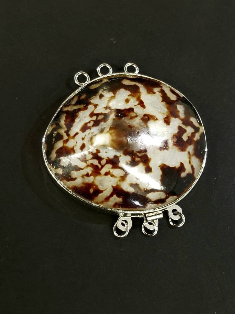 Tiger Cowire Natural Shell 3 loop rhodium clasp 44mm large, jewelry making vintage clasp. 1 piece