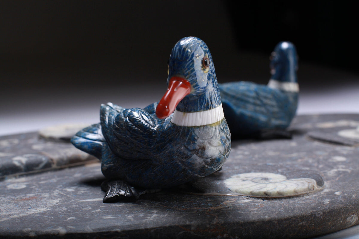 Natural Lapis Lazuli & Red Jasper, White Howlite Duck Carving Realistic Figurine Energy Healing, Home Decor