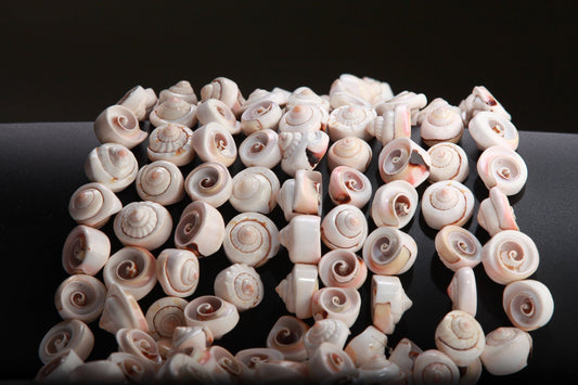 Natural Graduated Sea Shell 15.75&quot; Strand Graduated 15 to 20mm