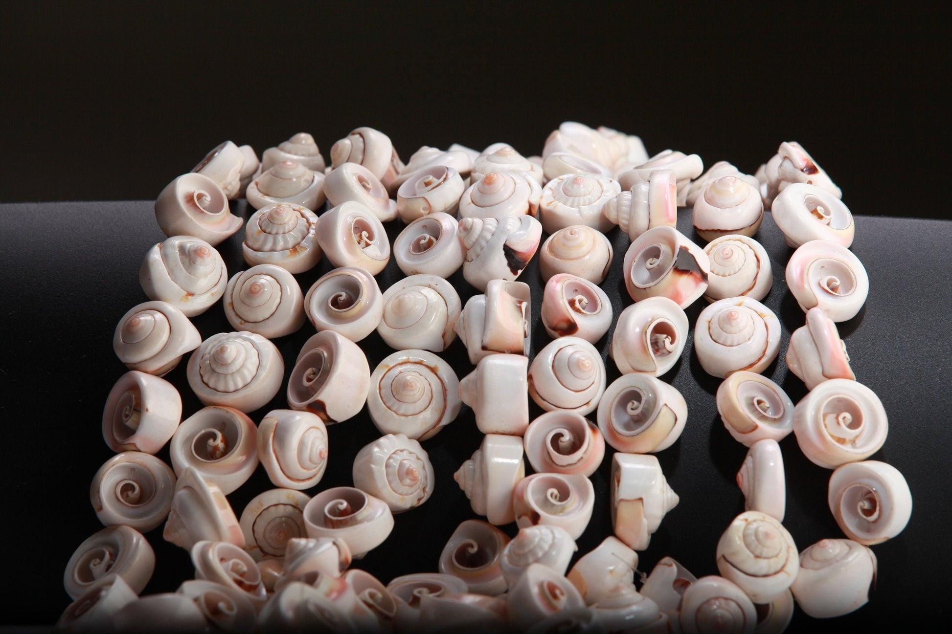 Natural Graduated Sea Shell 15.75" Strand Graduated 15 to 20mm