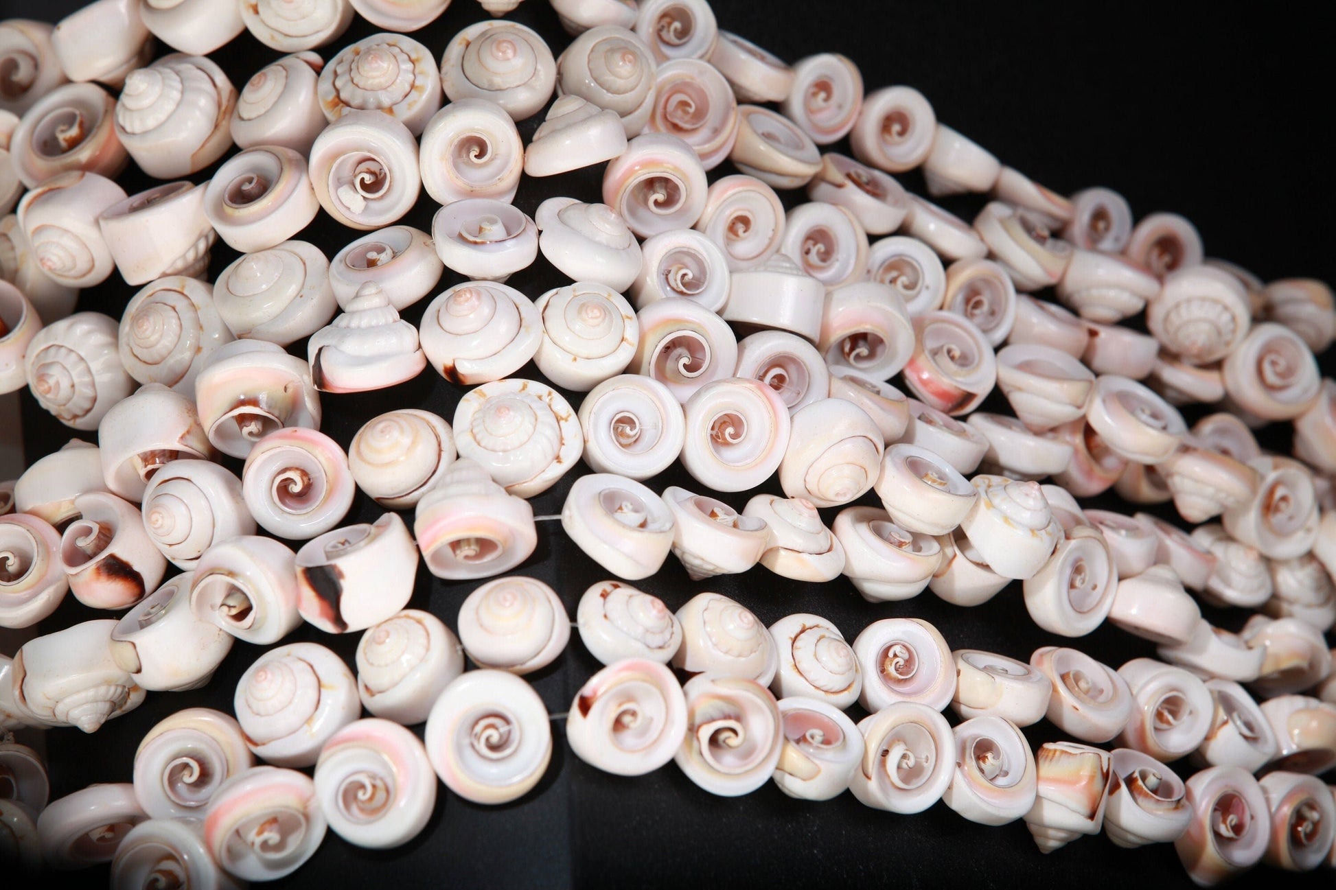 Natural Graduated Sea Shell 15.75&quot; Strand Graduated 15 to 20mm