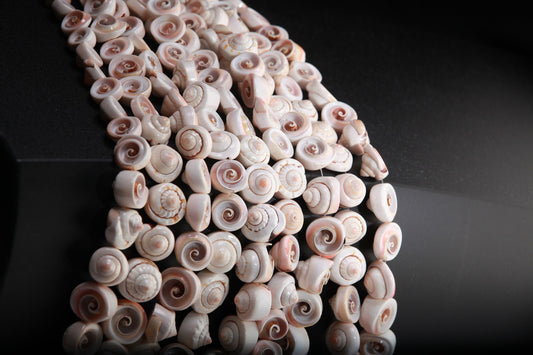 Natural Graduated Sea Shell 15.75&quot; Strand Graduated 15 to 20mm