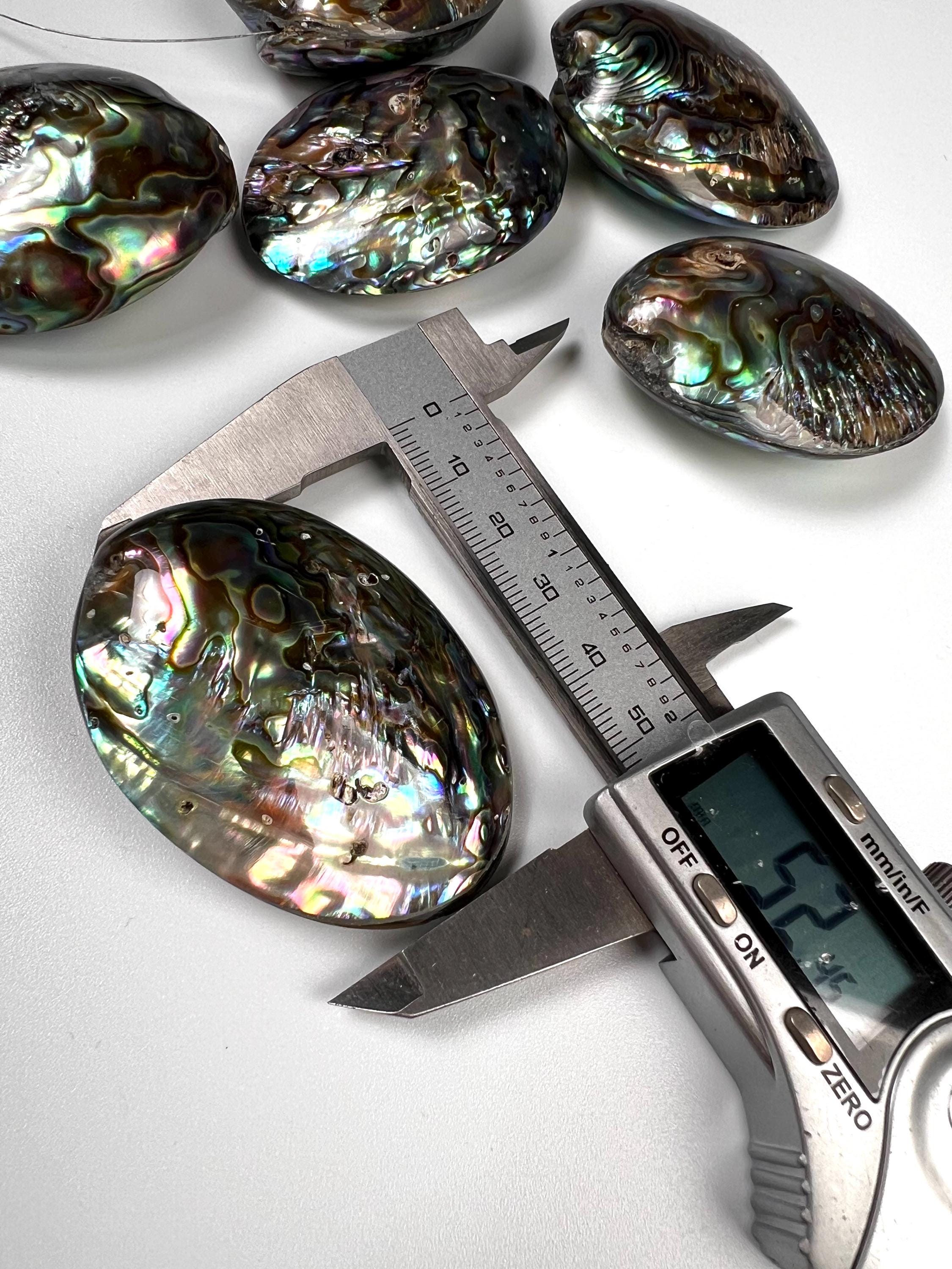 Natural Abalone Paua Shell puff oval 42x52mm double sided huge