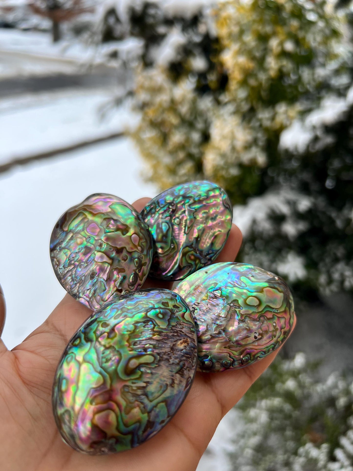 Natural Abalone Paua Shell puff oval 42x52mm double sided huge Vintage piece pocket stone jewelry center piece. Healing ocean energy