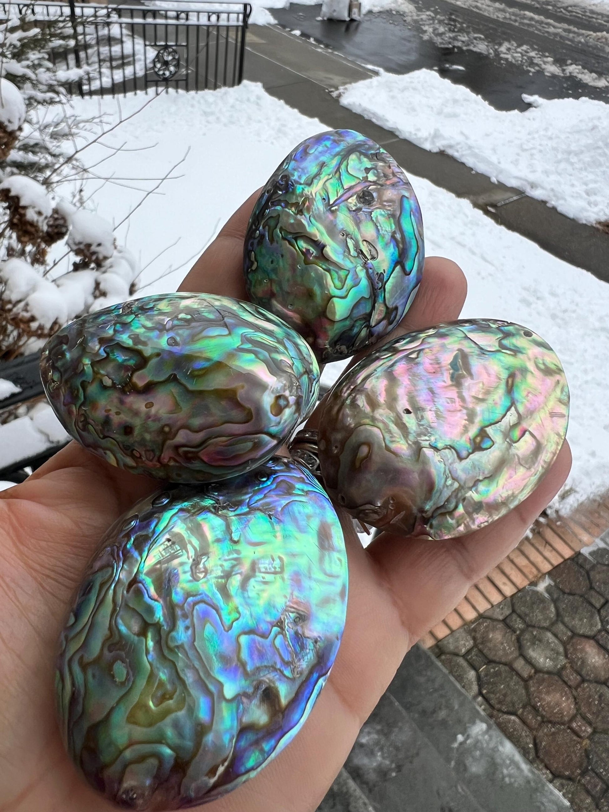 Natural Abalone Paua Shell puff oval 42x52mm double sided huge Vintage piece pocket stone jewelry center piece. Healing ocean energy